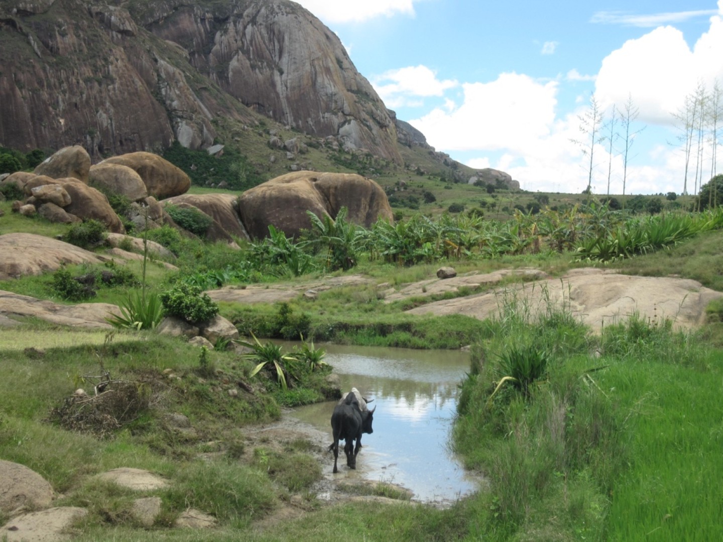 Photo d'un paysage à Madagascar